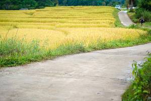 BIB: 
                            <button type="button" onclick="openModal(13440243)" class="btn btn-primary btn-sm float-right btn-popup" data-toggle="modal" data-target=".modal-high-quality">
                        <i class="fas fa-shopping-cart"></i> Add to Cart
                    </button>
                                            <button type="button" onclick="isThisMe(13440243, true)" class="btn btn-success btn-sm float-right btn-popup btn-isme hidden" data-toggle="tooltip" data-placement="bottom" title="นี่คือรูปของคุณใช่ไหม คลิกที่นี่เพื่อเอาเข้าอัลบั้ม">
                        <i class="fas fa-plus"></i> Add to album
                    </button>
                    <button type="button" onclick="isThisMe(13440243, false)" class="btn btn-warning btn-sm float-right btn-popup btn-isnotme hidden">
                        <i class="fas fa-ban"></i> Remove from album
                    </button>